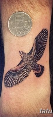 фото тату коршун птица от 12.09.2017 №009 — tattoo kite bird — tatufoto.com