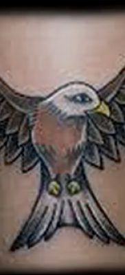 фото тату коршун птица от 12.09.2017 №011 — tattoo kite bird — tatufoto.com