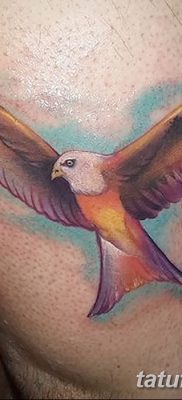 фото тату коршун птица от 12.09.2017 №020 — tattoo kite bird — tatufoto.com