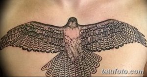фото тату коршун птица от 12.09.2017 №022 - tattoo kite bird - tatufoto.com