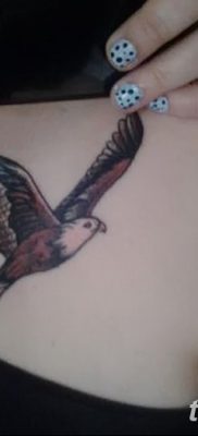 фото тату коршун птица от 12.09.2017 №023 — tattoo kite bird — tatufoto.com