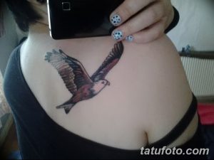 фото тату коршун птица от 12.09.2017 №023 - tattoo kite bird - tatufoto.com