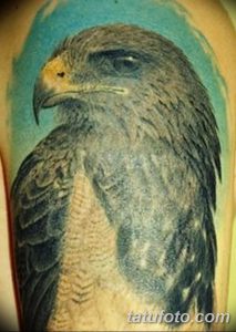 фото тату коршун птица от 12.09.2017 №025 - tattoo kite bird - tatufoto.com