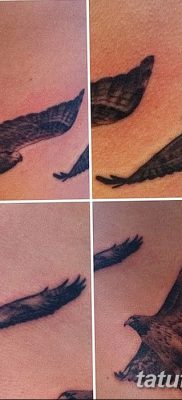 фото тату коршун птица от 12.09.2017 №027 — tattoo kite bird — tatufoto.com