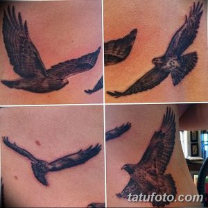 фото тату коршун птица от 12.09.2017 №027 - tattoo kite bird - tatufoto.com
