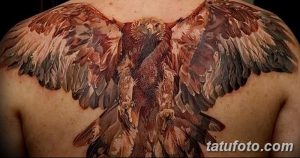 фото тату коршун птица от 12.09.2017 №028 - tattoo kite bird - tatufoto.com