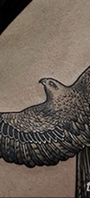 фото тату коршун птица от 12.09.2017 №031 — tattoo kite bird — tatufoto.com