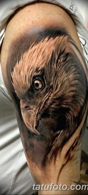 фото тату коршун птица от 12.09.2017 №036 — tattoo kite bird — tatufoto.com