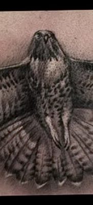 фото тату коршун птица от 12.09.2017 №038 — tattoo kite bird — tatufoto.com