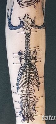 фото тату кости от 23.09.2017 №058 — bone tattoo — tatufoto.com