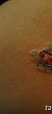 фото тату на ягодицах от 19.09.2017 №049 — tattoos on the buttocks — tatufoto.com