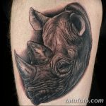 фото тату носорог от 29.09.2017 №007 - rhino tattoo - tatufoto.com