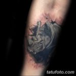 фото тату носорог от 29.09.2017 №009 - rhino tattoo - tatufoto.com