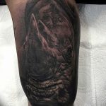 фото тату носорог от 29.09.2017 №011 - rhino tattoo - tatufoto.com