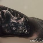 фото тату носорог от 29.09.2017 №024 - rhino tattoo - tatufoto.com