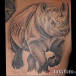 фото тату носорог от 29.09.2017 №032 - rhino tattoo - tatufoto.com