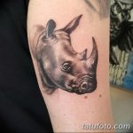 фото тату носорог от 29.09.2017 №034 - rhino tattoo - tatufoto.com