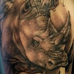 фото тату носорог от 29.09.2017 №039 - rhino tattoo - tatufoto.com