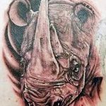 фото тату носорог от 29.09.2017 №045 - rhino tattoo - tatufoto.com