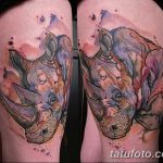 фото тату носорог от 29.09.2017 №047 - rhino tattoo - tatufoto.com