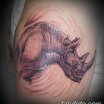 фото тату носорог от 29.09.2017 №056 - rhino tattoo - tatufoto.com