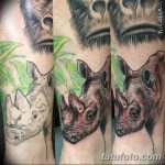 фото тату носорог от 29.09.2017 №062 - rhino tattoo - tatufoto.com