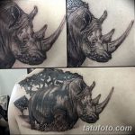 фото тату носорог от 29.09.2017 №063 - rhino tattoo - tatufoto.com