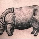 фото тату носорог от 29.09.2017 №082 - rhino tattoo - tatufoto.com