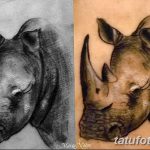фото тату носорог от 29.09.2017 №086 - rhino tattoo - tatufoto.com
