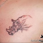 фото тату носорог от 29.09.2017 №093 - rhino tattoo - tatufoto.com