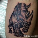 фото тату носорог от 29.09.2017 №099 - rhino tattoo - tatufoto.com