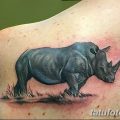 фото тату носорог от 29.09.2017 №102 - rhino tattoo - tatufoto.com