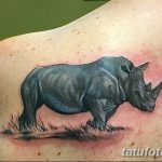 фото тату носорог от 29.09.2017 №102 - rhino tattoo - tatufoto.com