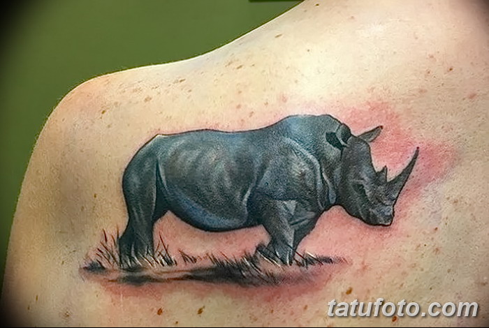 фото тату носорог от 29.09.2017 №102 - rhino tattoo - tatufoto.com
