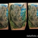 фото тату носорог от 29.09.2017 №103 - rhino tattoo - tatufoto.com