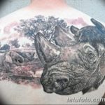фото тату носорог от 29.09.2017 №105 - rhino tattoo - tatufoto.com