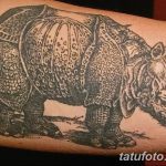 фото тату носорог от 29.09.2017 №107 - rhino tattoo - tatufoto.com