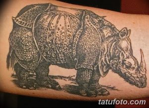 Фото тату носорога на руке, выполненное в технике blackwork. Детализированный рисунок с акцентом на текстуру кожи и мускулатуру животного.