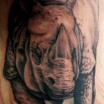 фото тату носорог от 29.09.2017 №109 - rhino tattoo - tatufoto.com