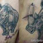 фото тату носорог от 29.09.2017 №114 - rhino tattoo - tatufoto.com
