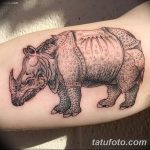 фото тату носорог от 29.09.2017 №115 - rhino tattoo - tatufoto.com