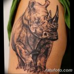 фото тату носорог от 29.09.2017 №121 - rhino tattoo - tatufoto.com