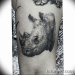 фото тату носорог от 29.09.2017 №128 - rhino tattoo - tatufoto.com