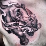 фото тату носорог от 29.09.2017 №138 - rhino tattoo - tatufoto.com