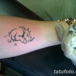 фото тату носорог от 29.09.2017 №142 - rhino tattoo - tatufoto.com