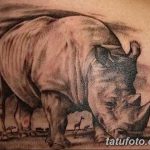 фото тату носорог от 29.09.2017 №144 - rhino tattoo - tatufoto.com