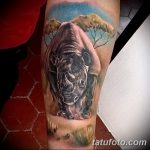 фото тату носорог от 29.09.2017 №156 - rhino tattoo - tatufoto.com
