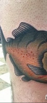 фото тату пиранья от 15.09.2017 №030 — tattoo piranha — tatufoto.com