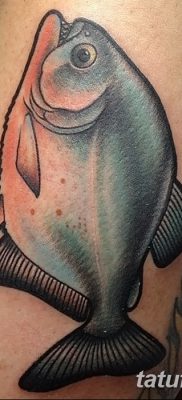 фото тату пиранья от 15.09.2017 №064 — tattoo piranha — tatufoto.com