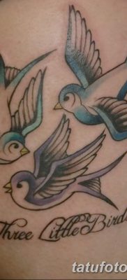 фото тату три ласточки от 24.09.2017 №002 — three swallow tattoos — tatufoto.com
